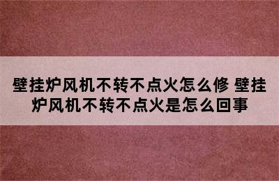 壁挂炉风机不转不点火怎么修 壁挂炉风机不转不点火是怎么回事